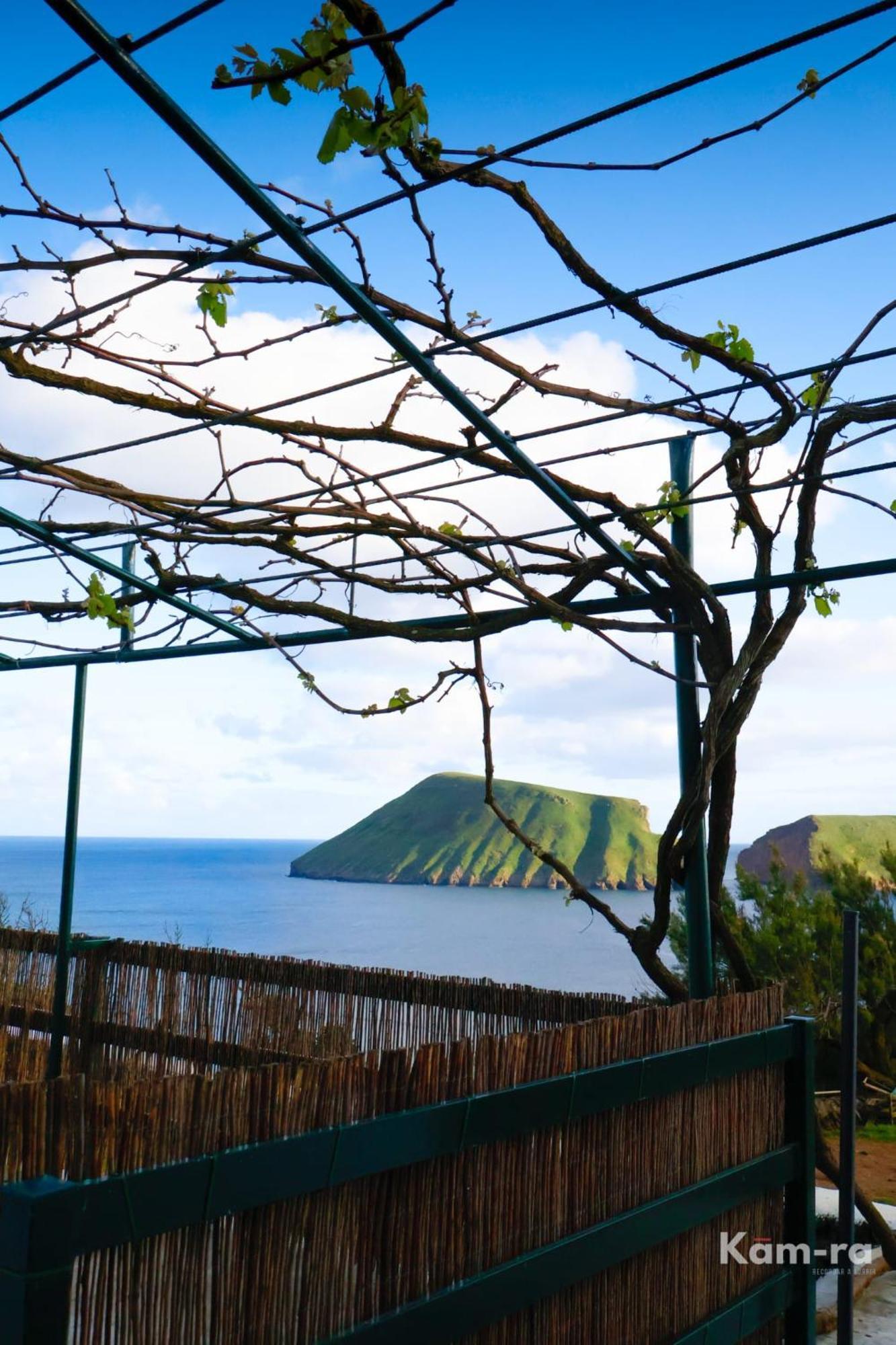 Casa Da Avo Couta Villa Angra do Heroísmo Eksteriør billede